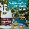 Waters Choice Concentrated Pool Phosphate Remover - 1 Gallon -