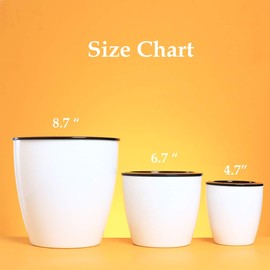 DeElf 6 Pack 4.7 Inches Self Watering Planter Wicking Pots for Plants Indoor Golden Devil's Ivy, African Violet, Ocean Spider Plant, Orchid, White