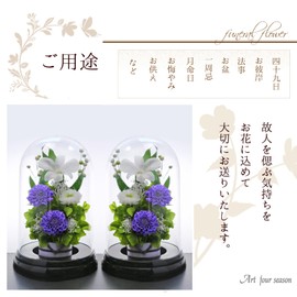 Art Four Seasons Flower Vs. Design SET Lira Preserved Flower