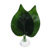 CAPASTEC Betta Fish Leaf, Natural Habitat Simulation for Betta Spawnings