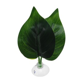 CAPASTEC Betta Fish Leaf, Natural Habitat Simulation for Betta Spawnings Grounds, Betta Spawnings Leaves, Resting Bed, Double Leaves, Deep Green