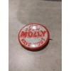 Vintage Pinback Button Ive Seen Molly Have You Novelty Fun