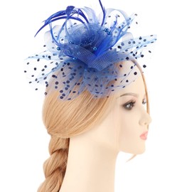 DRESHOW Fascinators Hat Flower Mesh Feathers on a Headband and a Forked Clip Cocktail Tea Party Headwear for Girls and Women