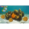NATURAL SEA SPONGES Natural Sea Sponge for Bath and Shower