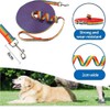 TopPetPro [50 Feet] Rainbow Pride Dog/Puppy Obedience Recall Training Agility