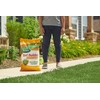 Scotts Turf Builder SummerGuard Lawn Food with Insect Control, 40.05