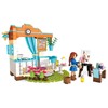 Mega Bloks American Girl Saige's Art Studio