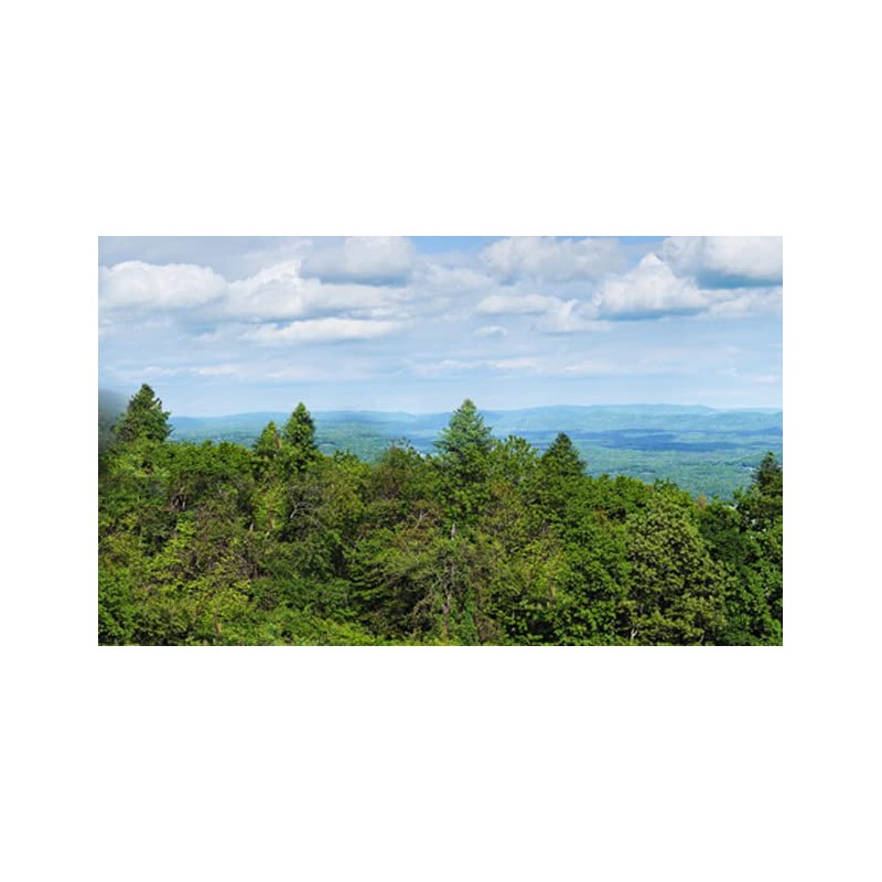 Appalachian Valley Model Railroad Backdrop (O Scale)