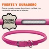 Collar de piel enrollada para perro – L1000, suave y