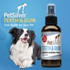 PetSilver Teeth & Gum Spray - Dog Dental & Teeth