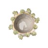 Creative Co-Op Stoneware Planter with Frogs on Rim and Reactive