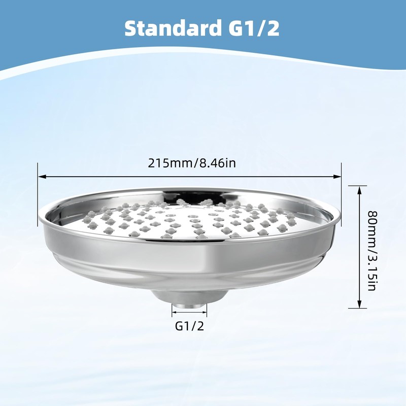 Hibbent 9 Inch Traditional Fixed Large Shower Head Chrome, Solid