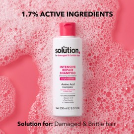 The Solution Intensive Repair Shampoo 250ml