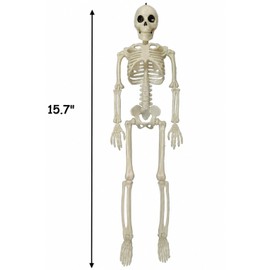 Halloween Skeletons Decorations, 10 Pack 16" Plastic Posable Skeleton, Small Hanging Skeleton, Halloween Props for Haunted House, Party, Yard, and Graveyard Decor