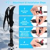 Beedove Ultralight Aluminum Trekking Poles, Hiking Poles with Anti-Shock and