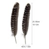 5pcs Natural Turkey Feathers 10-12 inch Wild Spotted Feathers for