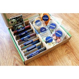 Lumus The Gin & Tonic Botanical Kit. Gin Tonic Infusion DIY Kit. 6 selected spices and 6 dried fruits & vegetables for cocktails. Recipe book included. Ideal for home and gifts.