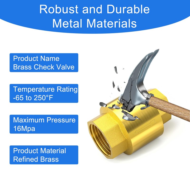 1 Inch Check Valve - PN25 Internal Thread Brass Backflow