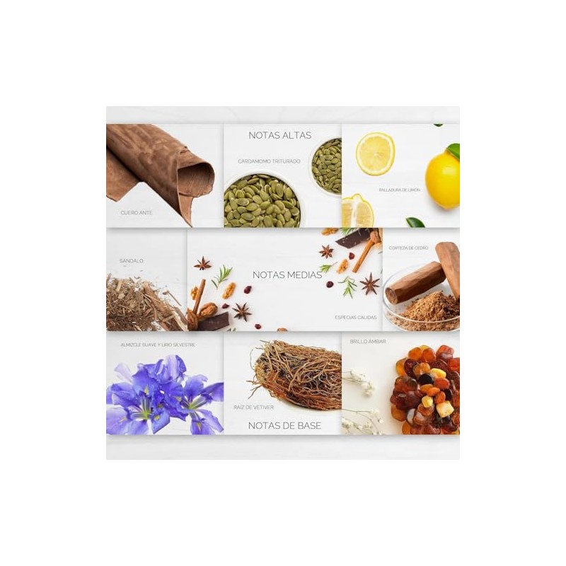 Esencia Ambiental Difusores Profesionales Aromaterapia Alta Concentración 250 Aroma Inspirado