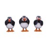 Nemesis Now Three Wise Puffins Set of 3 Puffins Figurines