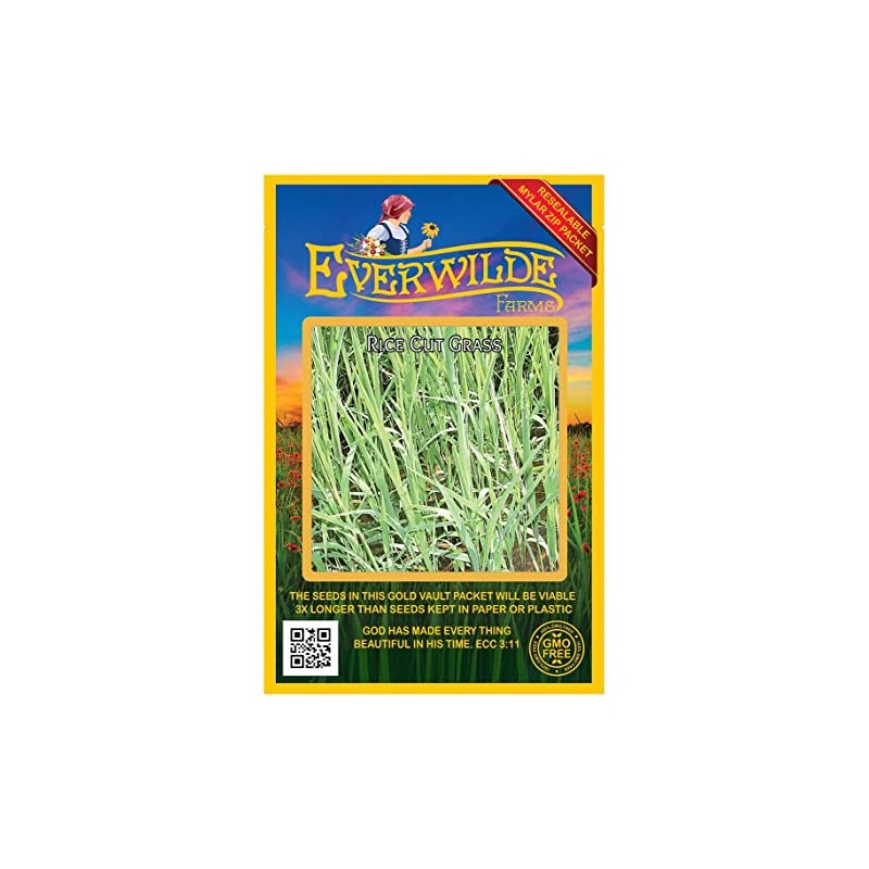 Everwilde Farms - 1000 Rice Cut Grass Native Grass Seeds