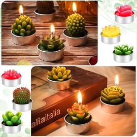 24 Velas de Cactus,Velas de Suculentas,Juego velas suculentas con caja de regalo cinta para Fiestas, Decoración del Hogar, Cumpleaños, Bodas