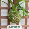 Better-Gro Bromeliad Hanging Kokedama – Indoor/Outdoor Decorative Planter, Low Maintenance