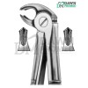DawnProMed Dental Extracting Forceps #22S For Roots & Incisors Dental