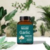 ERTHRI Odorless Garlic Fresh 750mg (90 Tablets), Herbal Supplement with