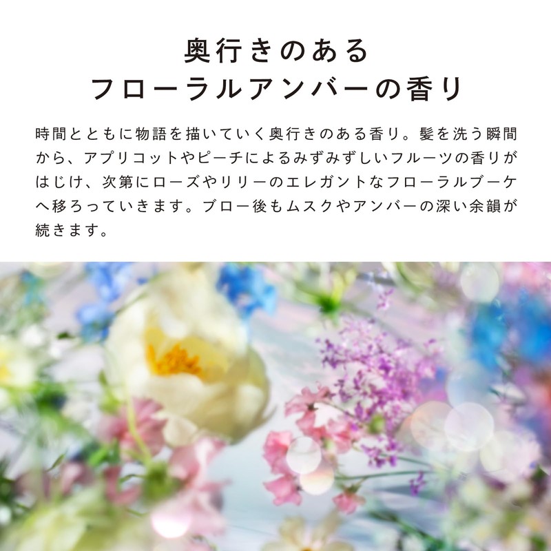 ReFa Beautech Shampoo Treatment, Genuine Refill, Hyaluronic Acid, Moisturizing Gloss