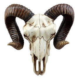 Ebros Large Bighorn Ram Skull Wall Decor 11.25" Wide Hanging Sculpture Plaque Wild Beast Trophy Figurine
