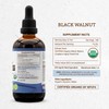 Secrets of the Tribe Black Walnut USDA Organic | Alcohol-Free