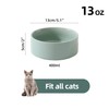 Havniva Ceramic 5.1inch Set of 2 Dog and Cat Bowls,
