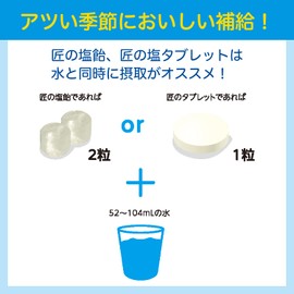 Saraya 27867 Takumi Salt Tablets, Assorted 3 Types (Grapefruits, Peach), 17.6 oz (500 g)