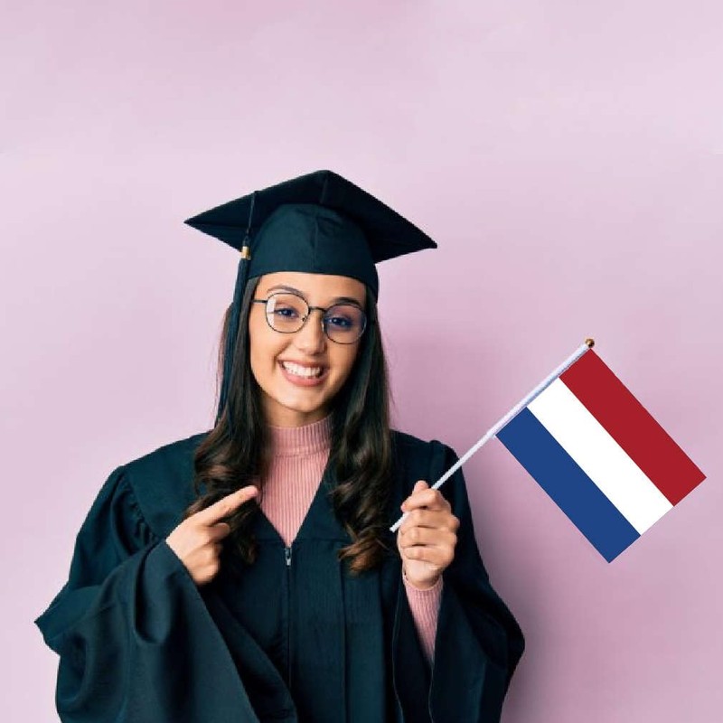 10 PCS Netherlands Handheld Small Flag, Dutch Hand held Mini