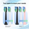 Replacement Brush Heads Compatible with 7am2m AM101/AM105 Sonic Electric Toothbrush