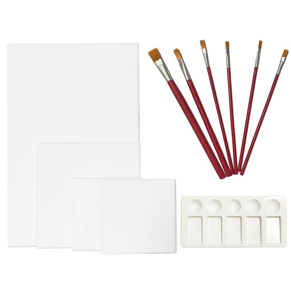 VINEST Set of 4 Canvas for Painting, 20 x 30