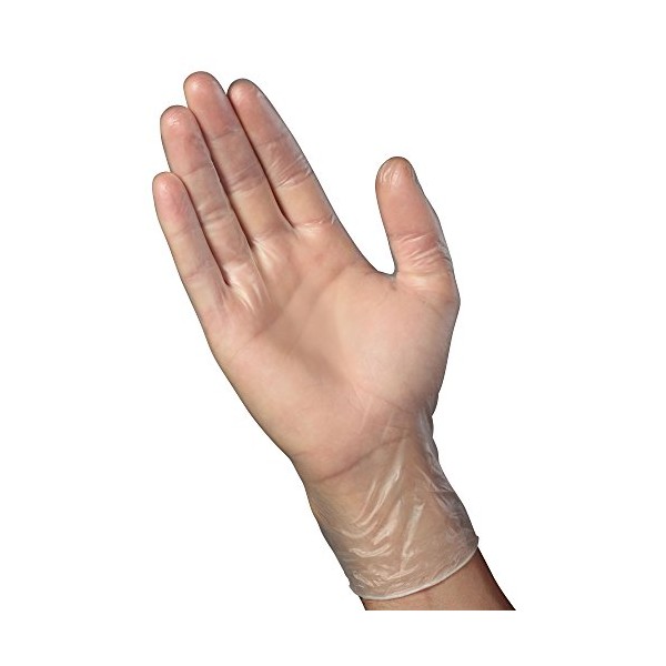 Mr. Clean Vinyl Disposable Gloves, 100 Count