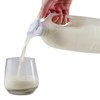 Lakeland Smooth Pouring Milk Bottle Toppers – Pack of 2