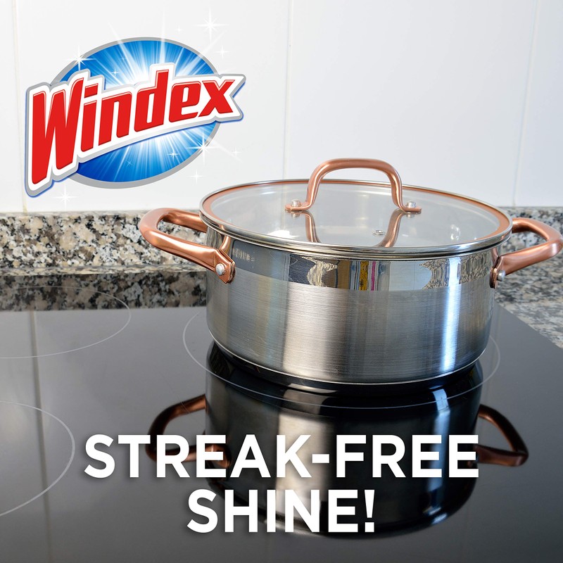 Windex Refill Multipurpose Disinfectant Cleaner Spray, Bottle Made from 100%