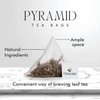 Octavius Enveloped Kashmiri Kahwa Green Teabags | Aromatic Detoxing &