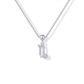 PAVOI Rhodium Plated Astrology Necklace for Women | Cubic Zirconia Horoscope Charm Sliding Adjustable Necklace | Dainty Zodiac Necklace |Capricorn, White Gold, Cubic Zirconia