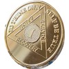 1 Year AA Medallion 22K Gold Plated Sobriety Chip
