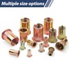 100 Pcs Rivet Nuts M4, Leryati Zinc Plated Threaded Rivet