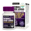 NutriGarden 건강기능식품 메가플러스 비오틴 10000 600mg 60정 Health Supplement Mega