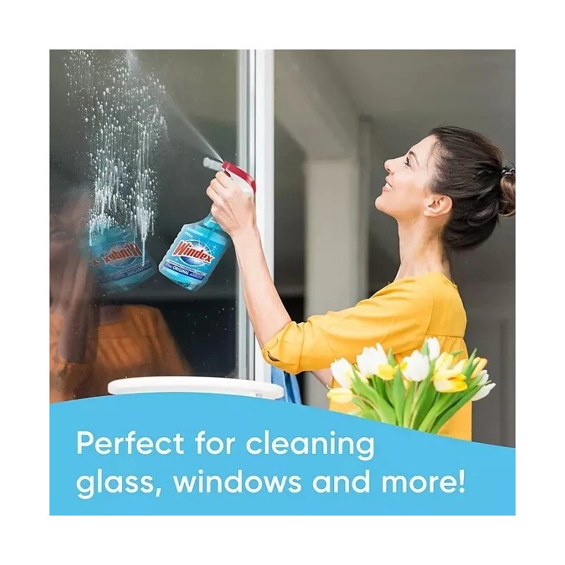 Windex Original Glass Cleaner 1 spray bottle + 128 fl.