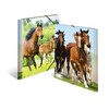 HERMA Portfolio Folders A4 Horse Set of 3 Children's Plastic
