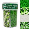 Mystic Sprinkles St. Patrick's Day 4 Cell Sprinkle Assortments (Clover