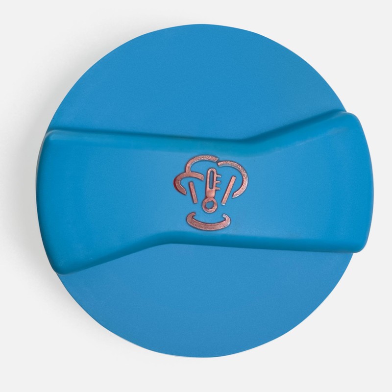 Coolant Overflow Expansion Tank Radiator Cap Fit for Passat Jetta