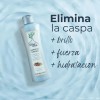 Shampoo Natural Anticaspa Descamación Árbol Verde Canela Y Menta 500ml
